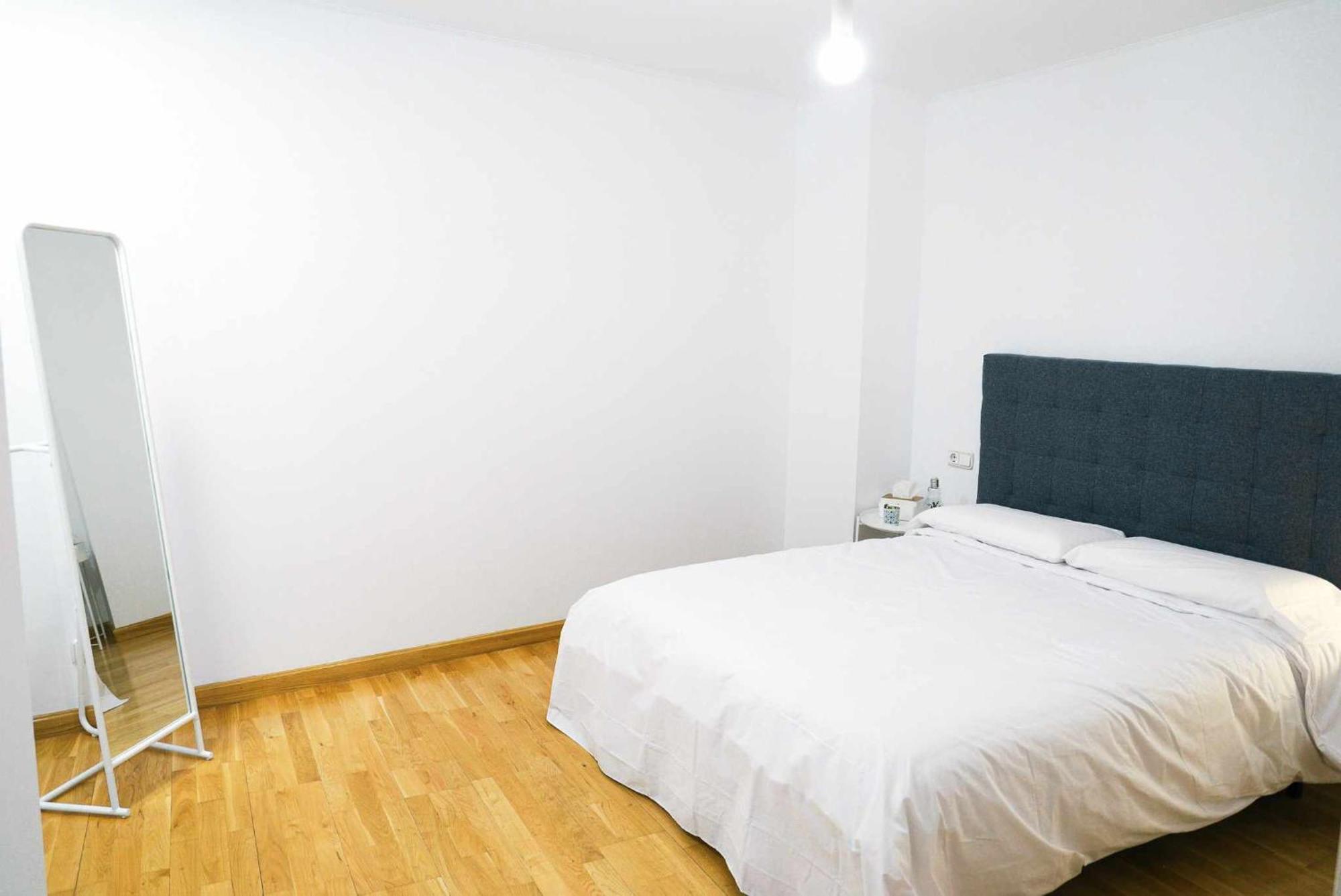 Apartament 33 Pasos Catedral 1 León Zewnętrze zdjęcie